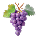 vignobles